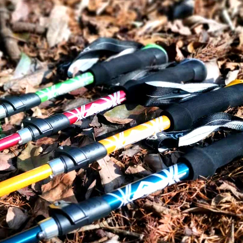 Bastone da trekking pieghevole - Trekking Pole Carbon recensione e prezzo