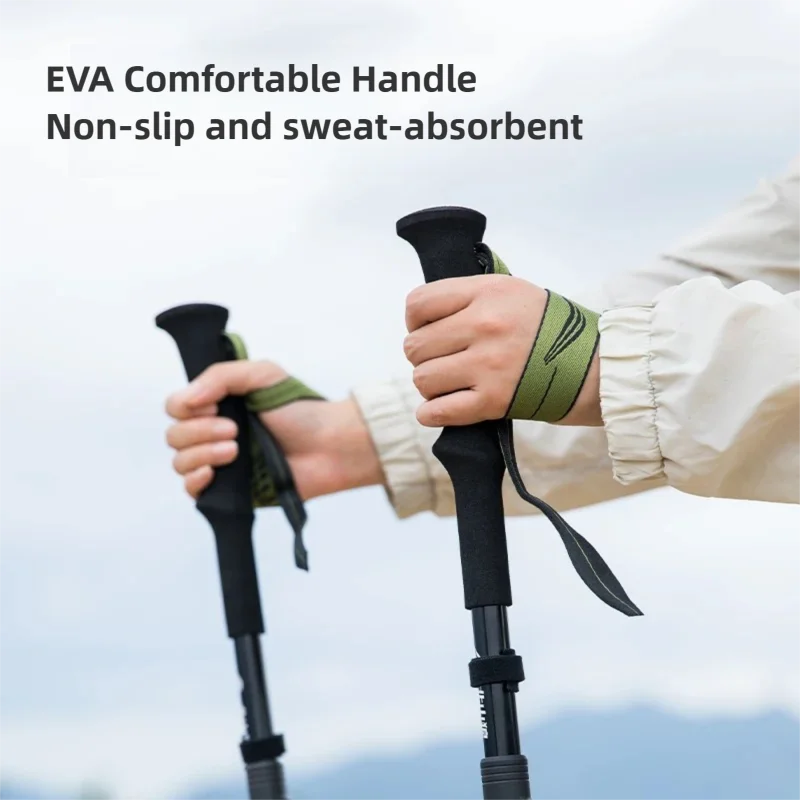 BISINNA Bastoncini da Trekking - Trekking Pole Carbon recensione e prezzo