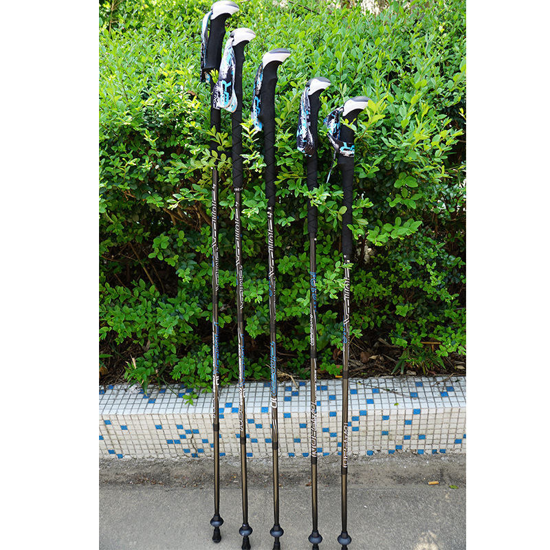 Bastoncini da trekking pieghev - Trekking Pole Carbon recensione e prezzo