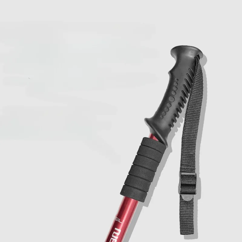 Bastoncini da trekking da pass - Trekking Pole Carbon recensione e prezzo